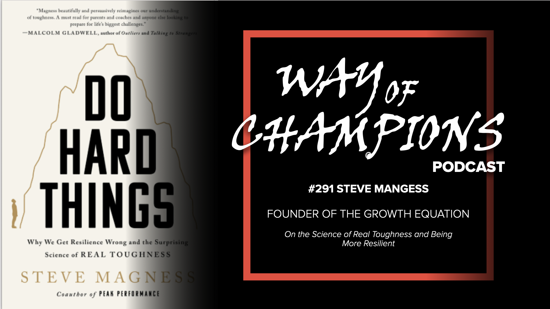 #291 Steve Magness